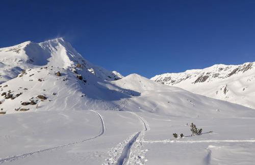 Klaus Prettau - Foto 24