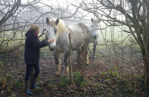 Moulin des sablons vakantiehuis gite - Foto 3
