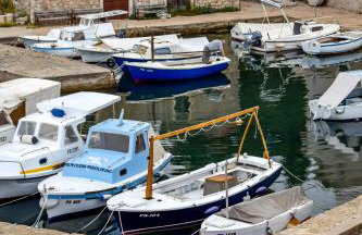 Maslinčica - Foto 17