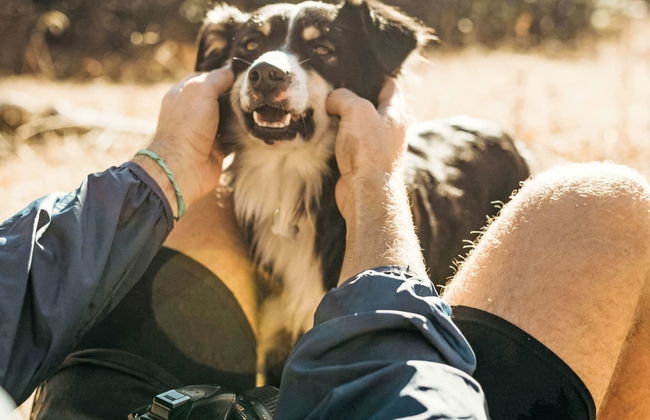 Klippitzperle - Foto 54