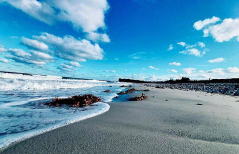 Kutscherwohnung - Foto 38