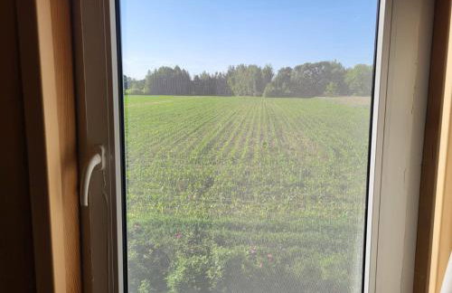 Domek nad Wkrą, okolice Sochocina, kajaki - Foto 21