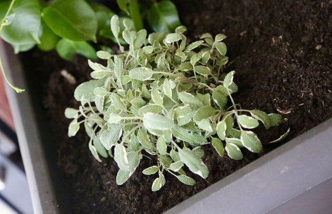 Histrias Apartments - Foto 17