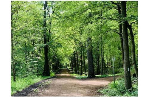 Holiday home Ahorn ground floor - Foto 13