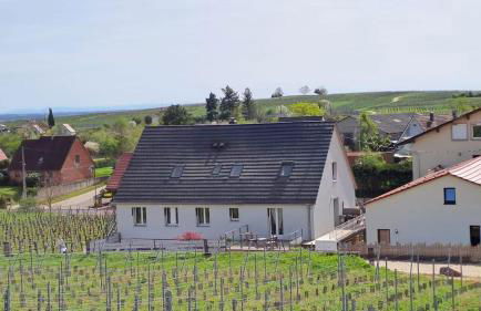 Au pied des vignes - Foto 29