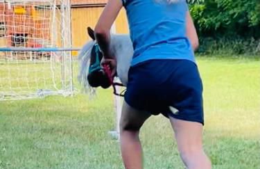 Meislahnhof Fehmarn - Foto 67