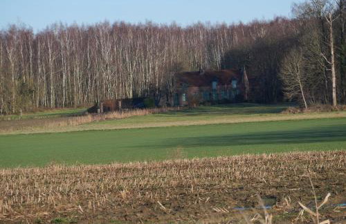 La cabane du chasseur - Foto 33