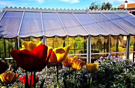 Agriturismo Podere Santa Rita - Foto 8