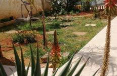 Villa Sunshine - Foto 45