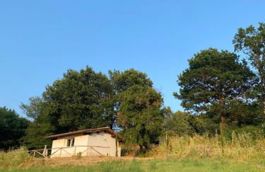 Agriturismo Tenute di Hera - Via Francigena - Foto 39