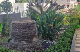 Vila Boa Nova Funchal - Foto 3