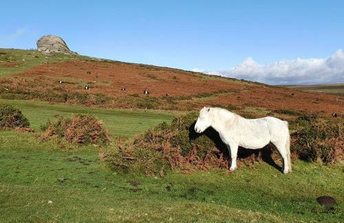 The Sett - The Cottages at Blackadon Farm - Foto 19