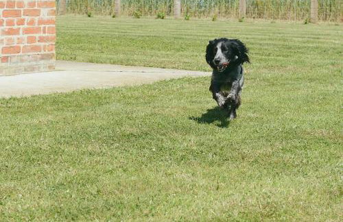 Wood Farm Dairy - Foto 16