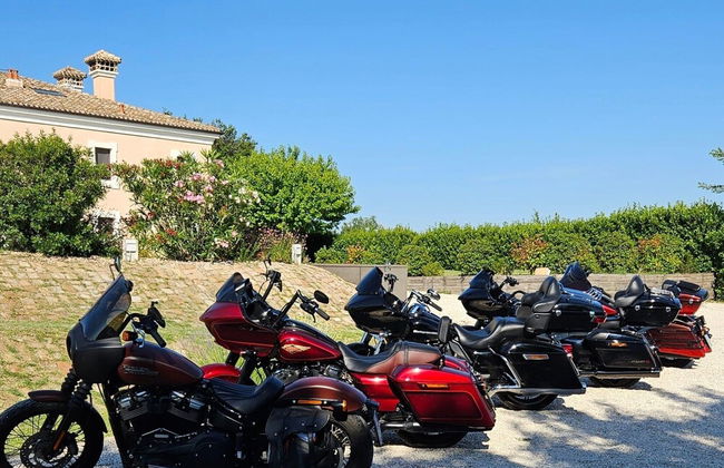 Manor in Marche With Pool and Adriatic Views - Foto 23