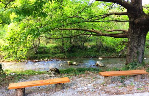 Andrea Sofi Guesthouse - Photo 18