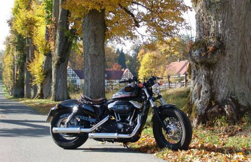 FeWo Die Dittrichs - Foto 25