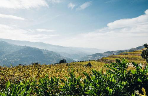 Quinta De Guimaraes - Foto 57