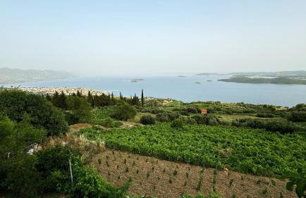 Apartments with parking space Orebic, Peljesac - 16326 - Photo 18