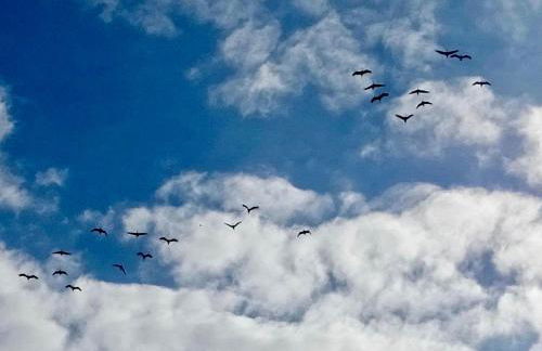 Ferienhaus Dünenliebe - Foto 21