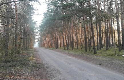 Rzeka, plaża, sauna, kajaki - Plażowe Zacisze - Foto 23