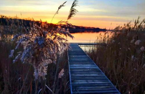 Chill na Skrzynce - Foto 32