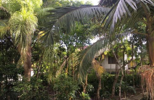 Apartamento aconchego. - Foto 19