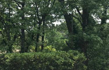 La Balouvière Villa entre Cévennes et Provence - Foto 24