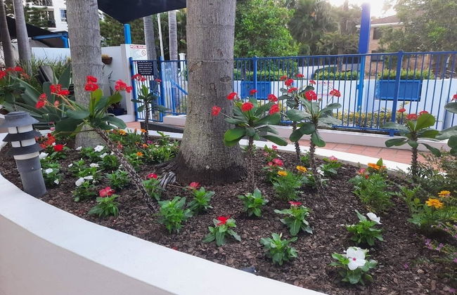 Surfers Beach Resort One - Foto 53