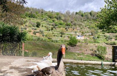 Private Douro- Quinta das Susandas - Foto 17