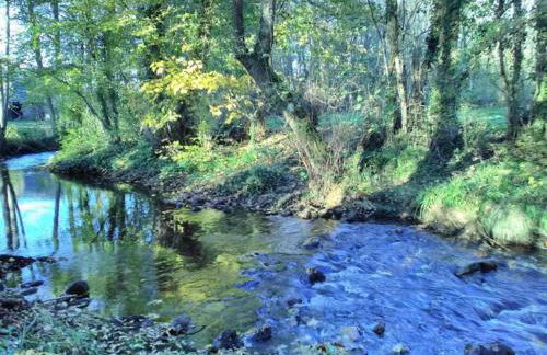 Casa do Hiebra Alojamiento Rural Ribeira Sacra - Foto 46