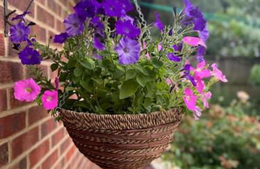 Garden flat in London - Foto 3