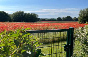 Landidyll Elmenhorst Wohnung 01 - Foto 33