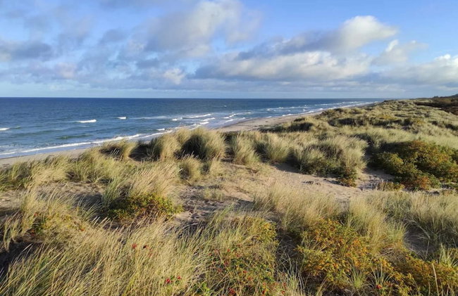 Holiday Home in Vejby - Photo 65