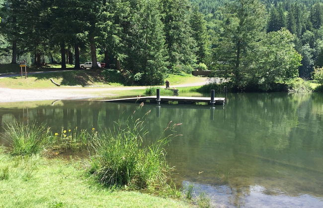 67MF- Hot Tub - Pets Ok - BBQ - Sleeps 5 - Foto 32