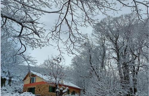 Hani Kastania - Chania retreat for families and groups for holidays and workshops - Foto 42