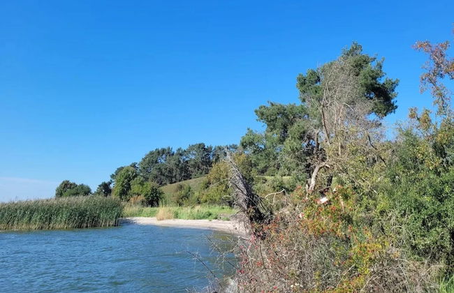 Ferienhof Neuendorfkrug, Lutow - Foto 30