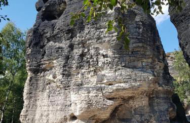 Auf-der-Muehlwiese - Foto 47