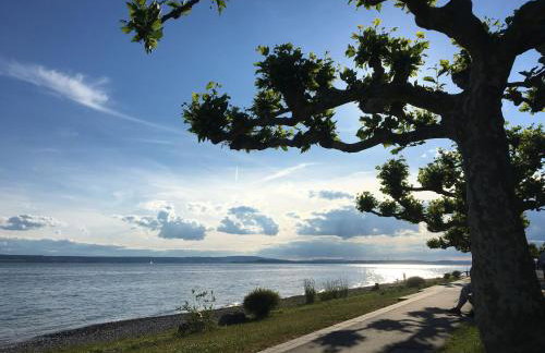Bodensee Oberschwaben - Photo 27