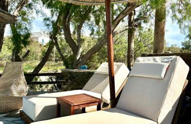 Tinos apartments Zalonis - Foto 3