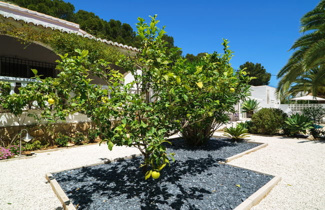 El Palmeral - Foto 33