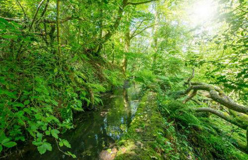 Camrose Mill - Foto 21