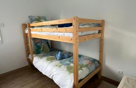 Au gré des oiseaux - Photo 23