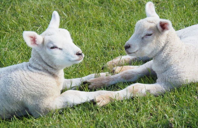 Villa Garden Cloud 7 - Foto 23