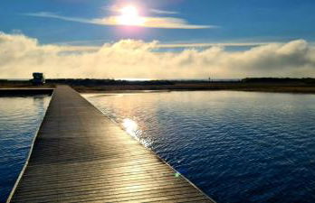 Can Carles - Delta del Ebro - Foto 51