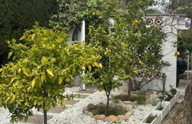 Villa Aleksandra - Foto 74