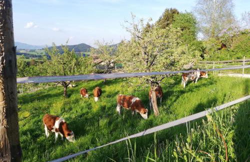 Haus Monika - Foto 14