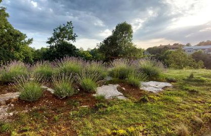 Studio Apartman Nika - Photo 26