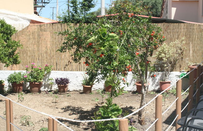 Mar-Jo Holiday Home - Foto 53