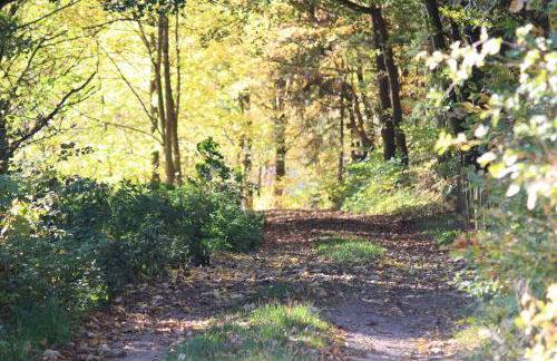 FeWo-Seestrasse - Foto 23