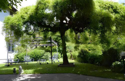 Great Charm Villa i Due Leoni Bellagio - Foto 78